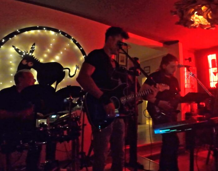 crazydonkey1 crazydonkey1